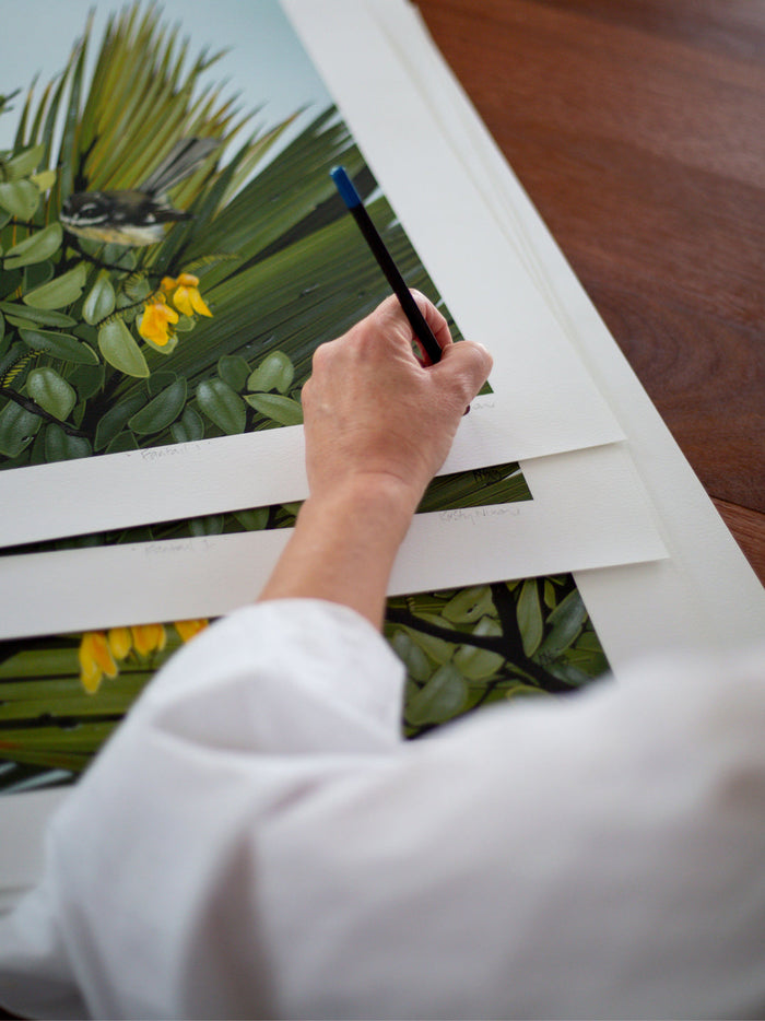 Limited Edition Prints