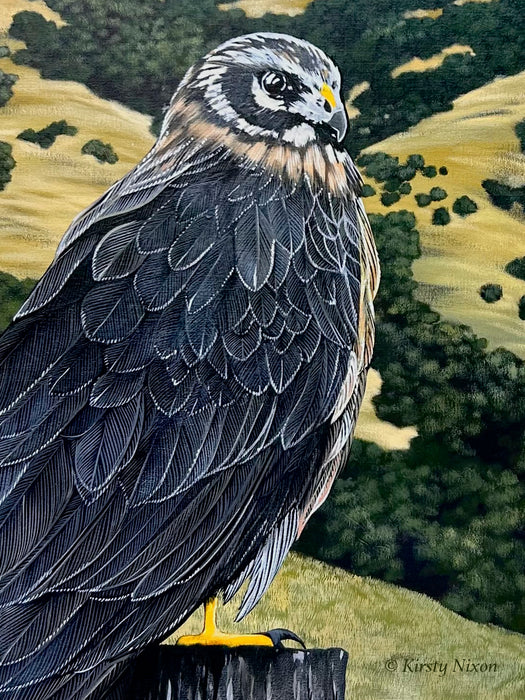 Backyard | Original Painting