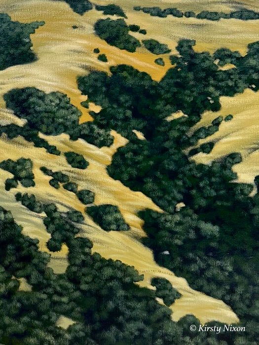 Backyard | Original Painting
