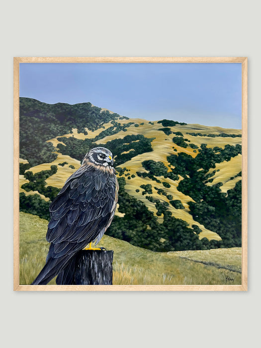Backyard | Original Painting