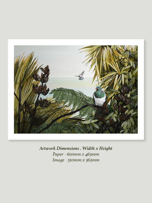 Kererū | Giclée Print