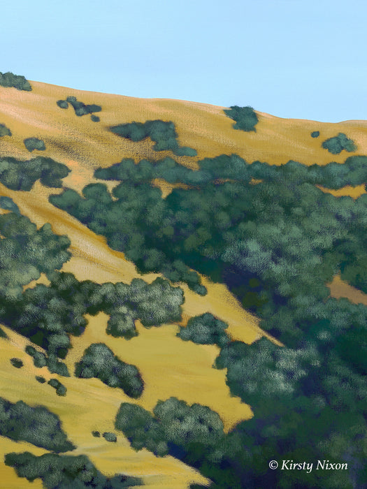 Late Afternoon, Banks Peninsula | Original Painting
