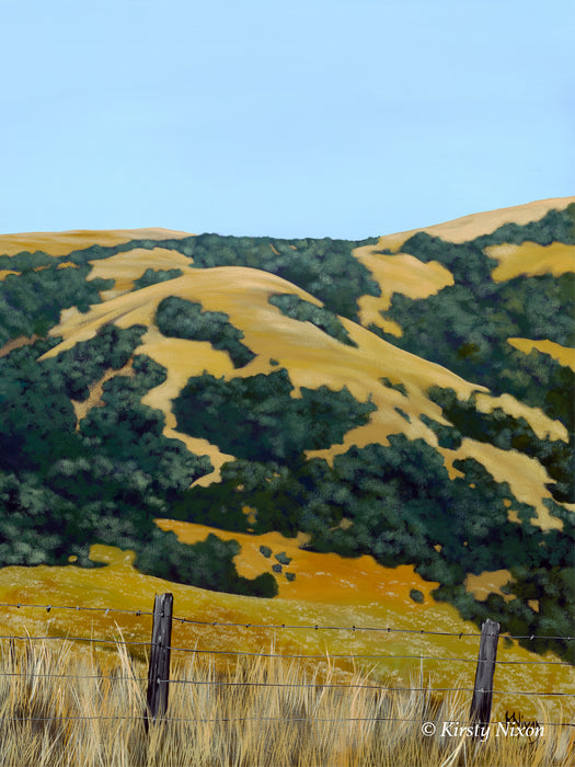 Late Afternoon, Banks Peninsula | Original Painting