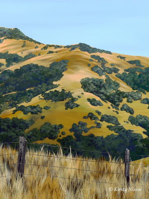Late Afternoon, Banks Peninsula | Original Painting