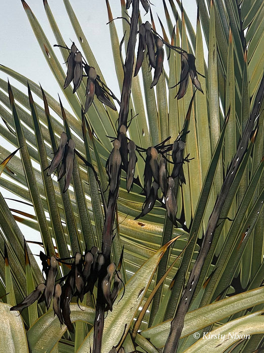Welcome To The Jungle | Original Painting